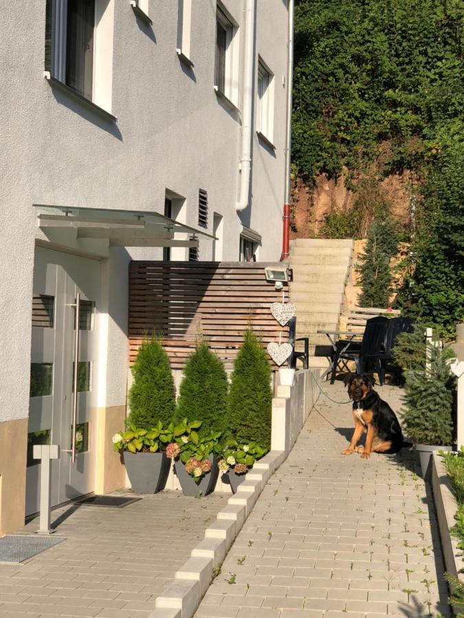 Ferienwohnungen Lamisto Am Waldesrand Neckartenzlingen Eksteriør bilde